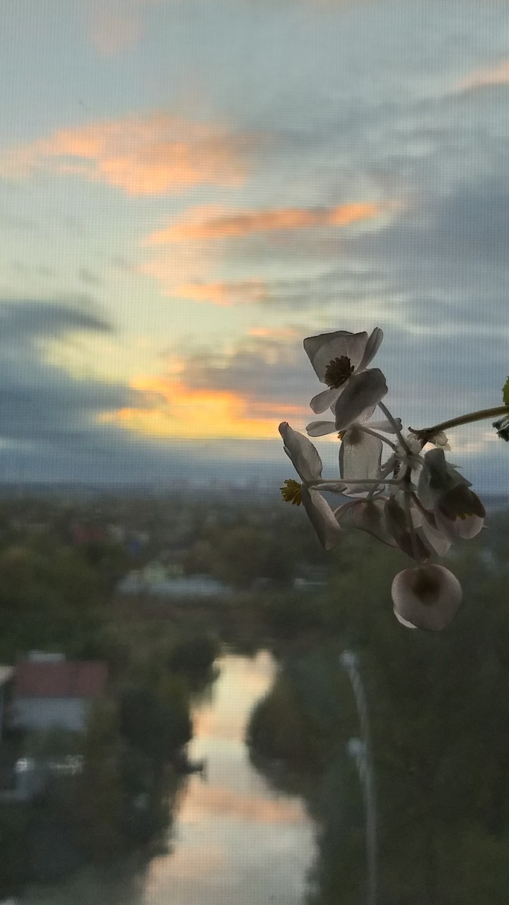 a gorgeous sunset