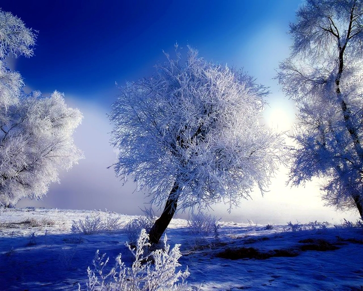 winter
