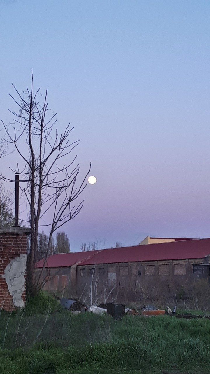 full moon