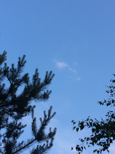 daytime, 白天桌布