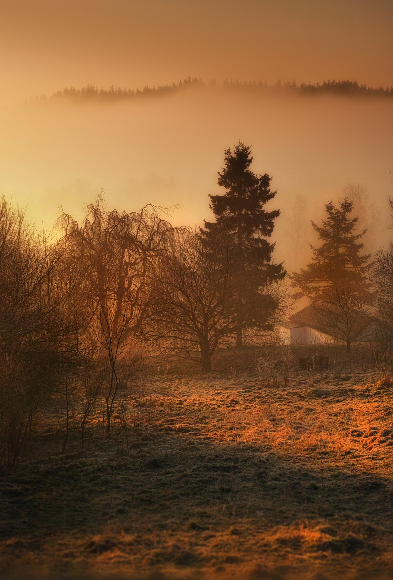 тапети ecoregion, sunrise