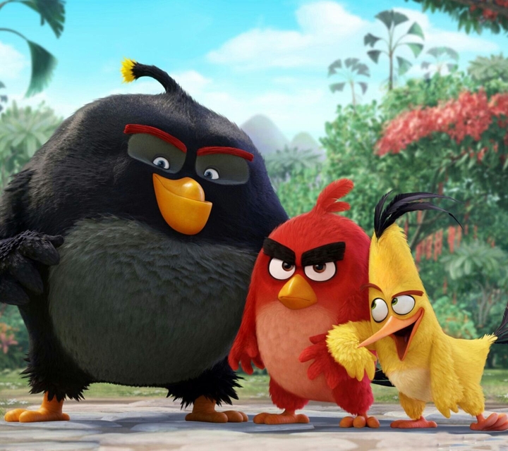Angry birds