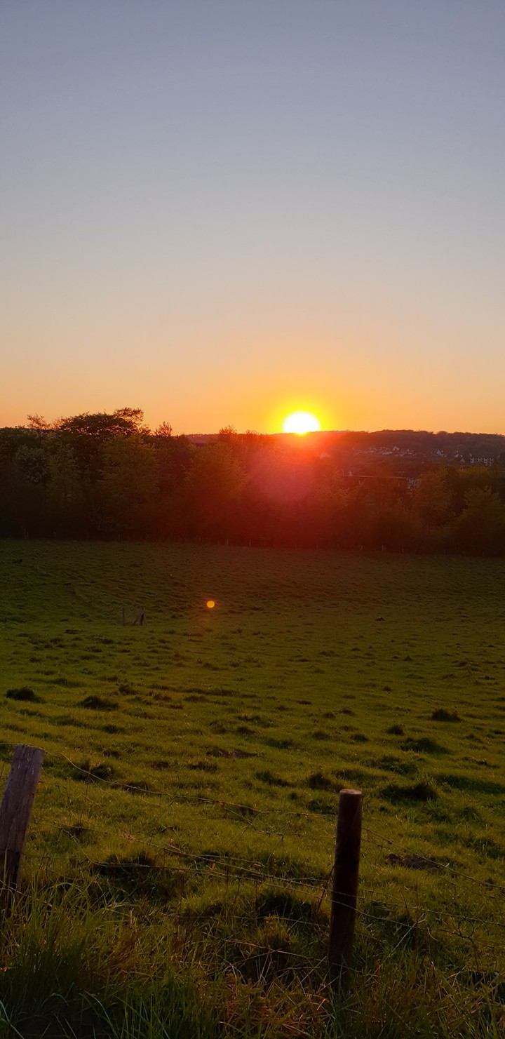 Dawn