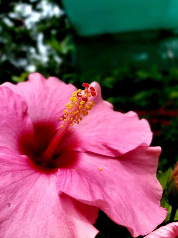 The Beauty of little things