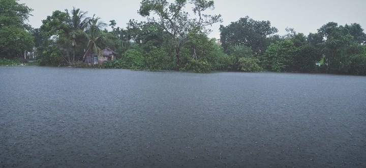 Rainy day