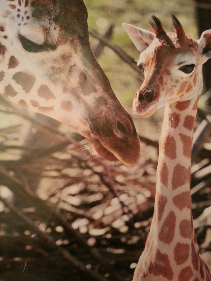 Mommy and baby