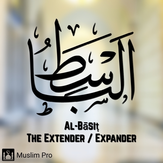 the extender