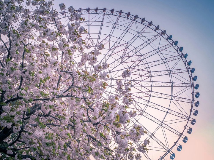springtime