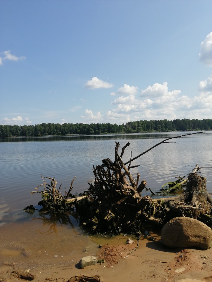Каряга.