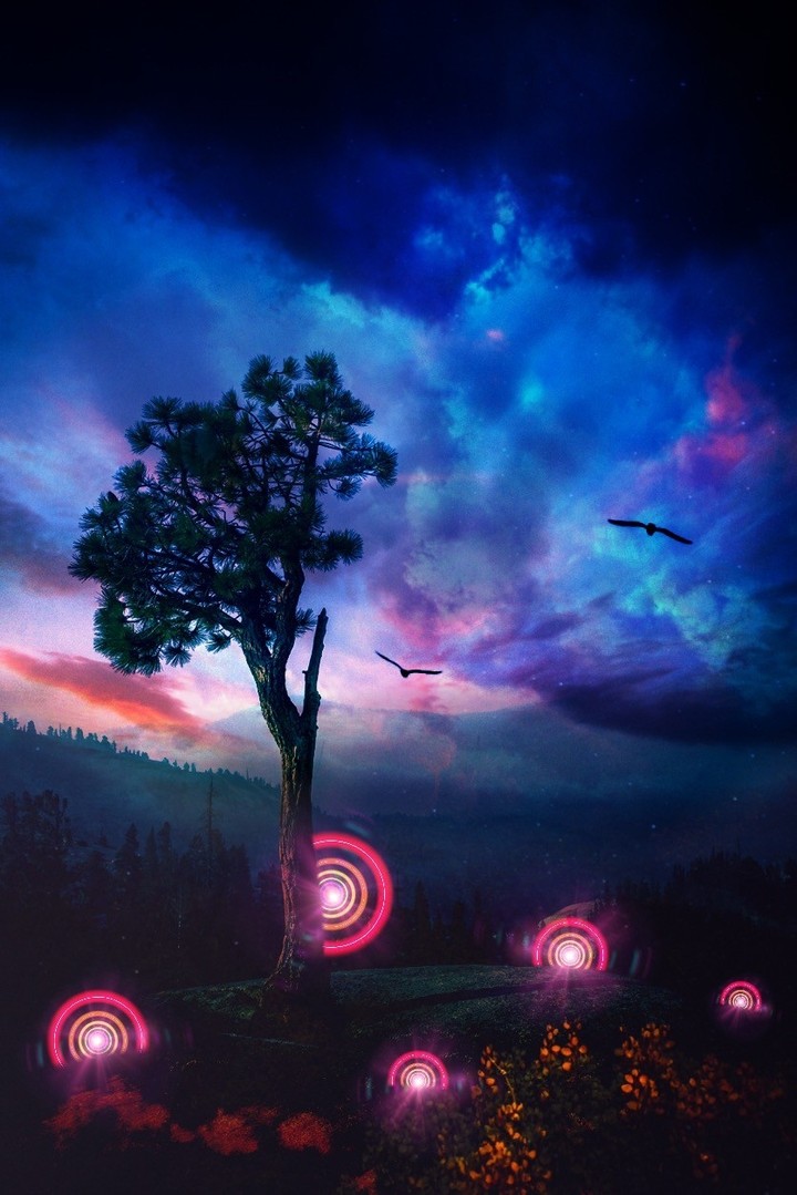 evening