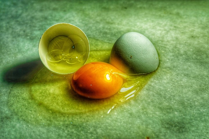 egg