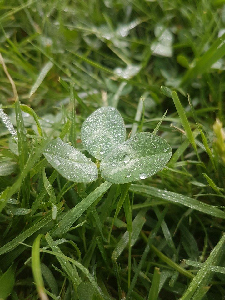After rain