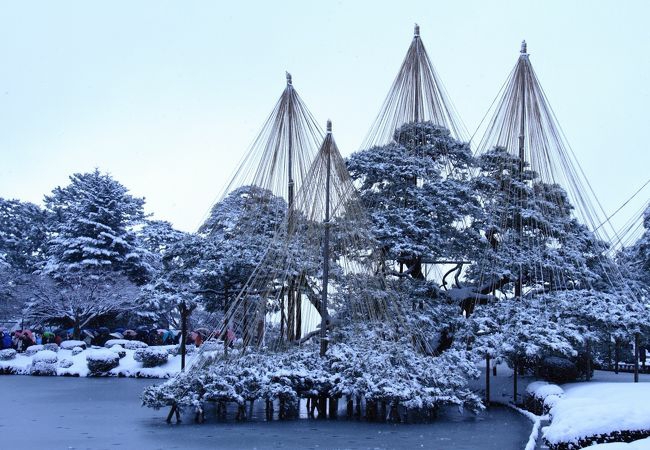 Kenrokuen Gardens in winter snow 兼六園 雪吊り