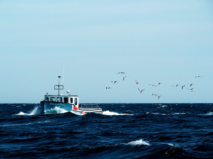 fisher boat 