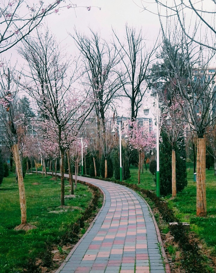 Spring