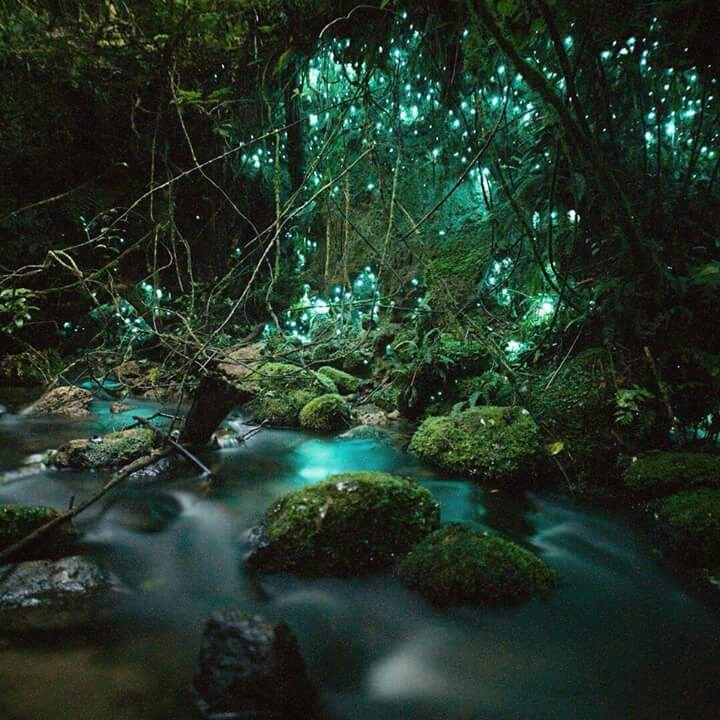 Paisaje mágico