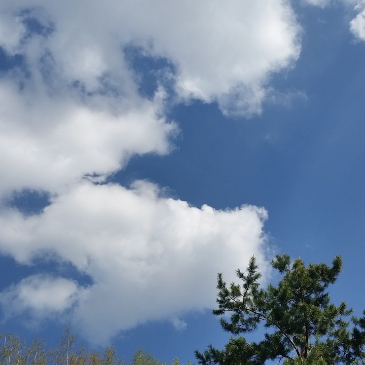 snowwhite clouds