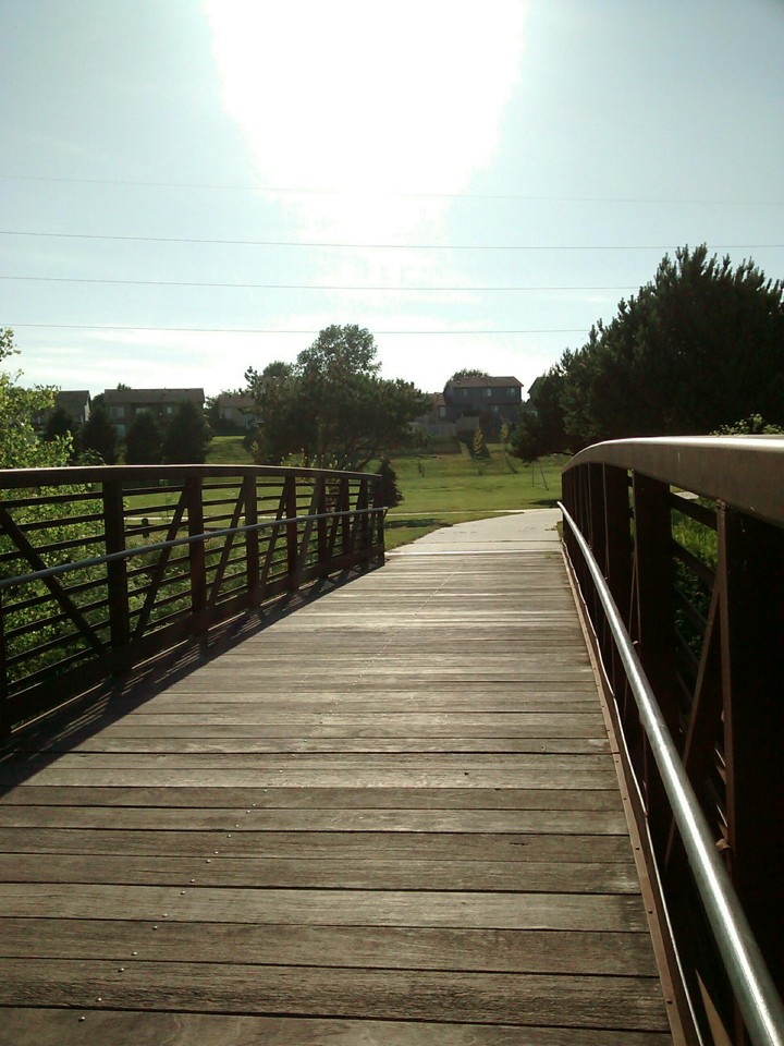 bridge