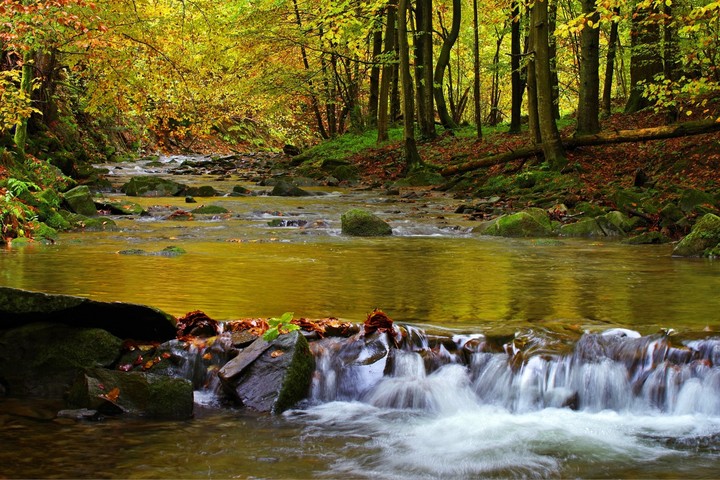 Nature is supreme...