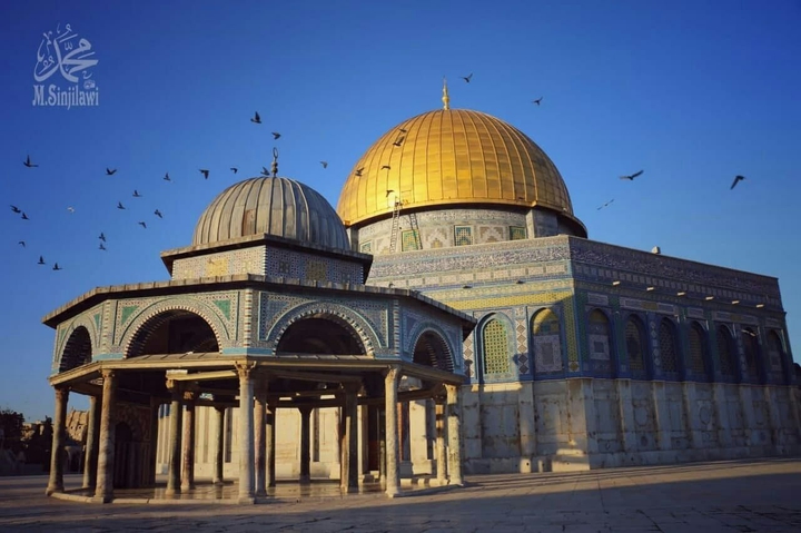 free palestine