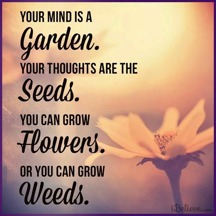 reality ♡