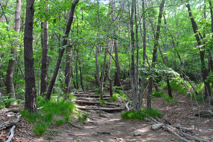 산이미지