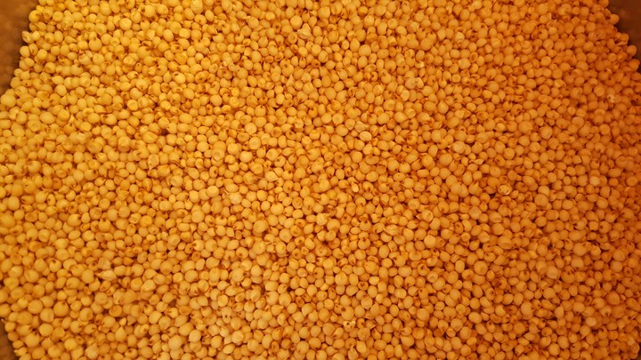 sorghum