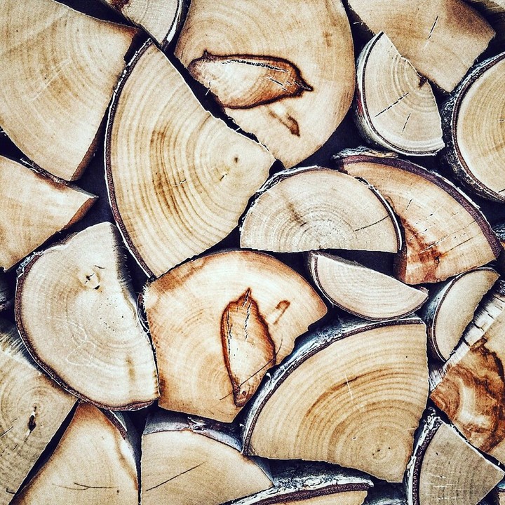 woods