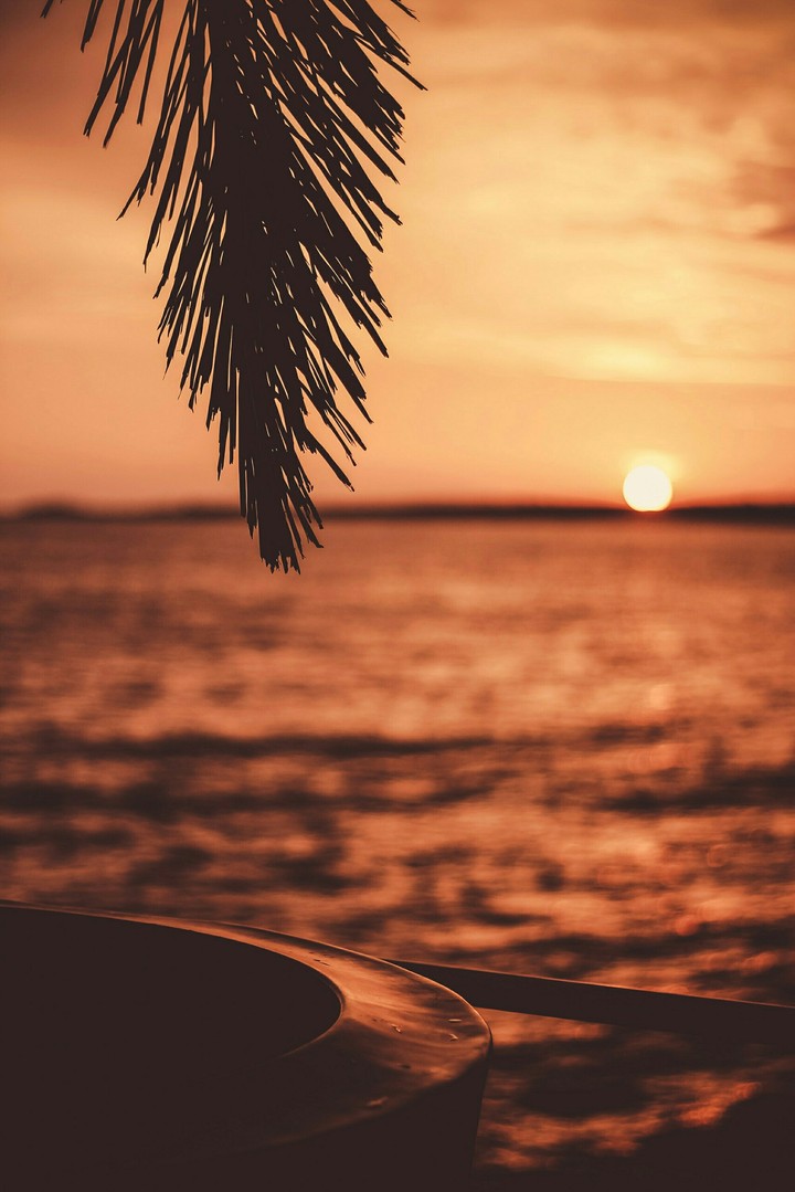 sun