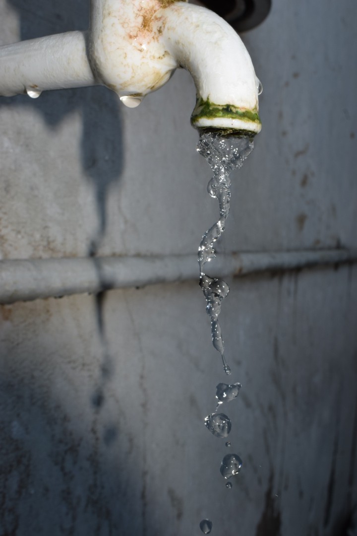 freeze the water