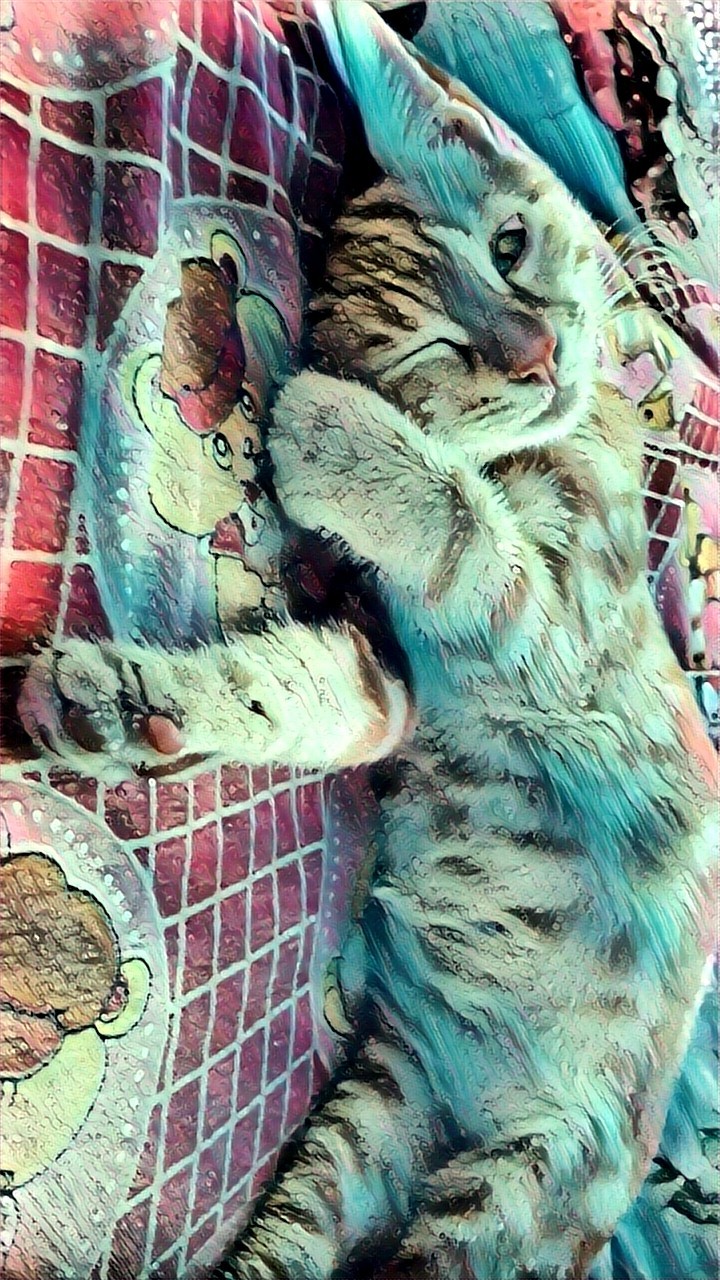 Sleepy kitty
