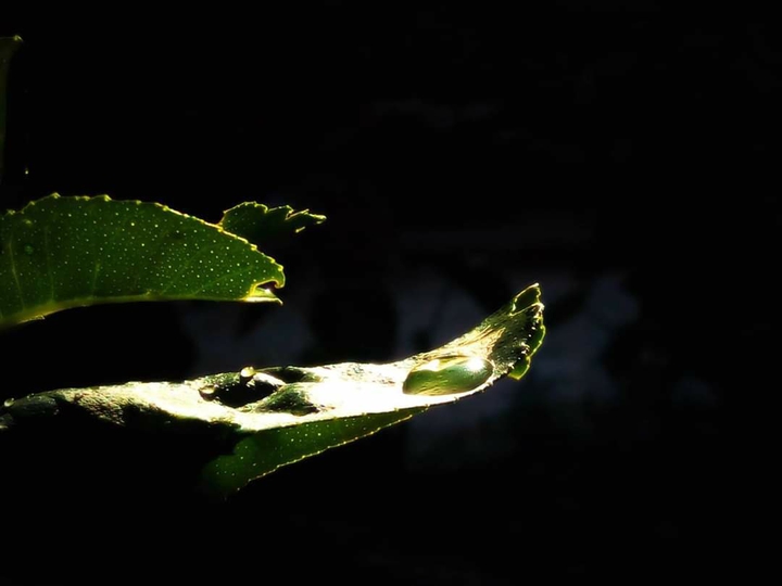 Vary first experiment