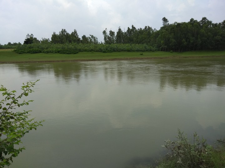 beautiful nature