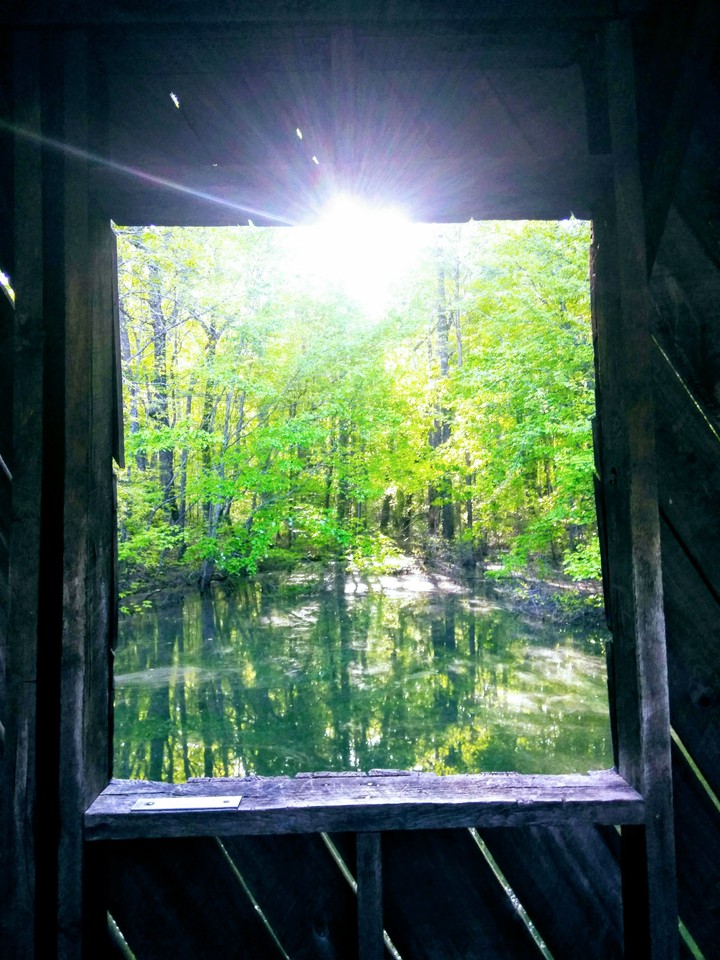 window