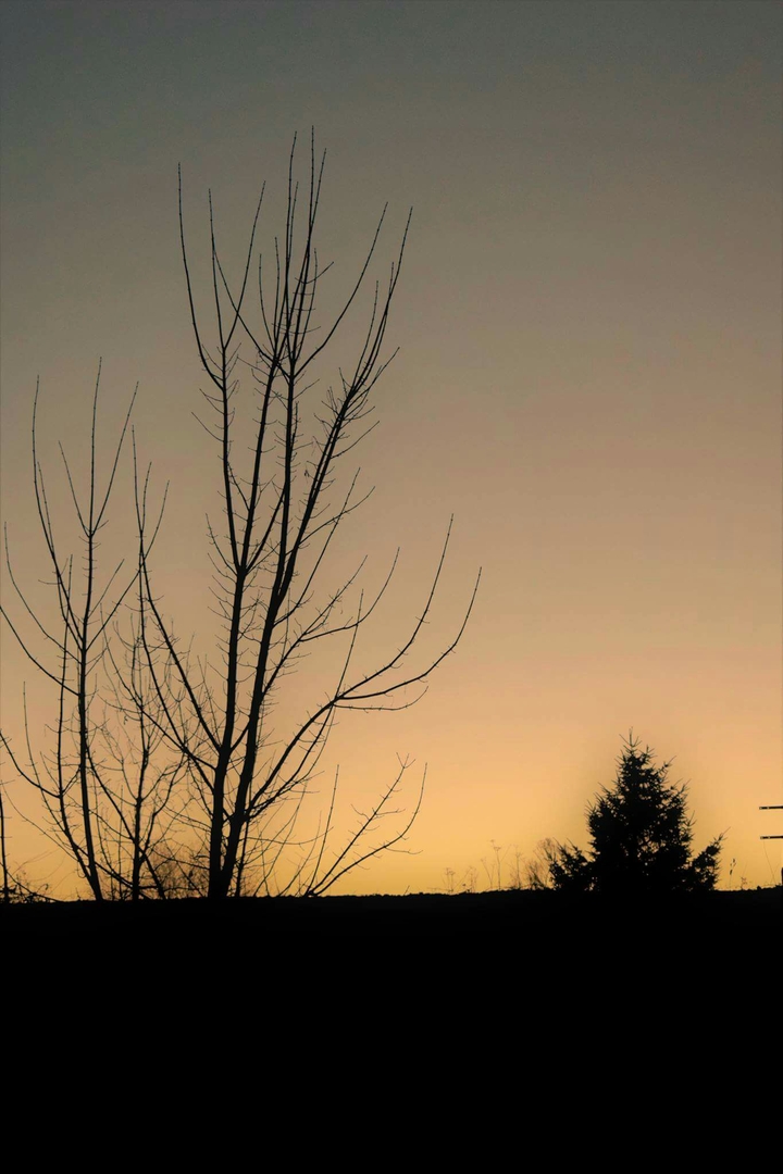 winter sunset