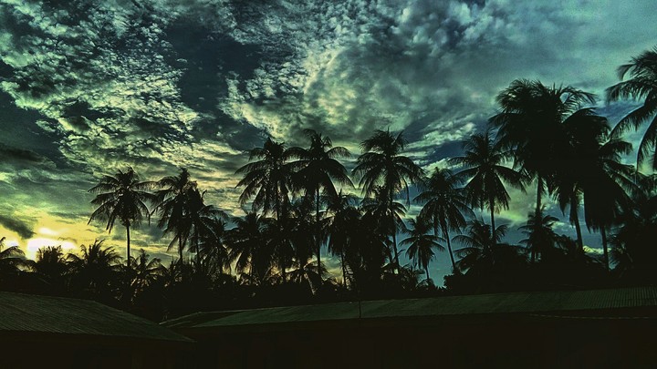 What a beautiful world.