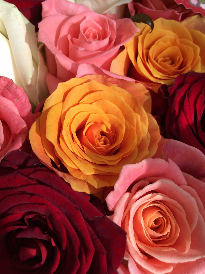 flowers