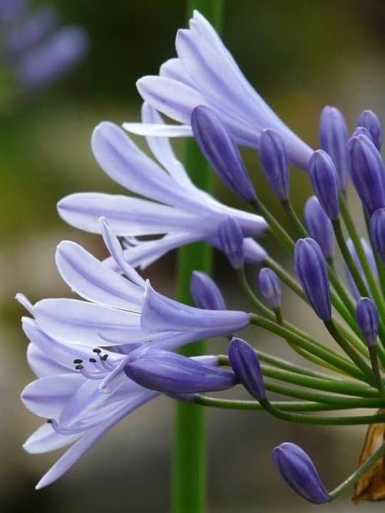 W❤