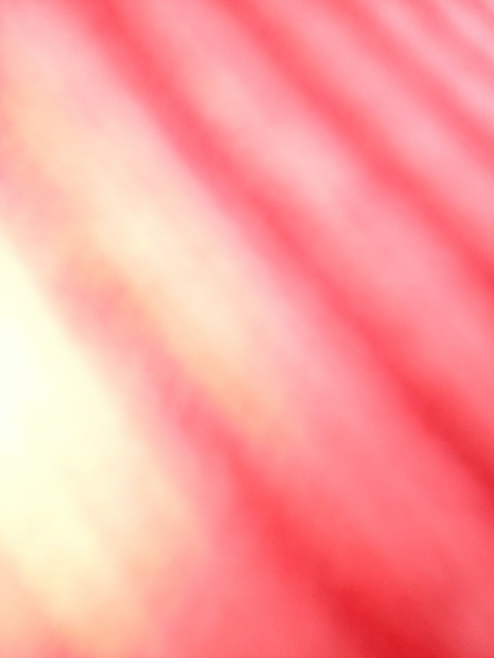 red highlights