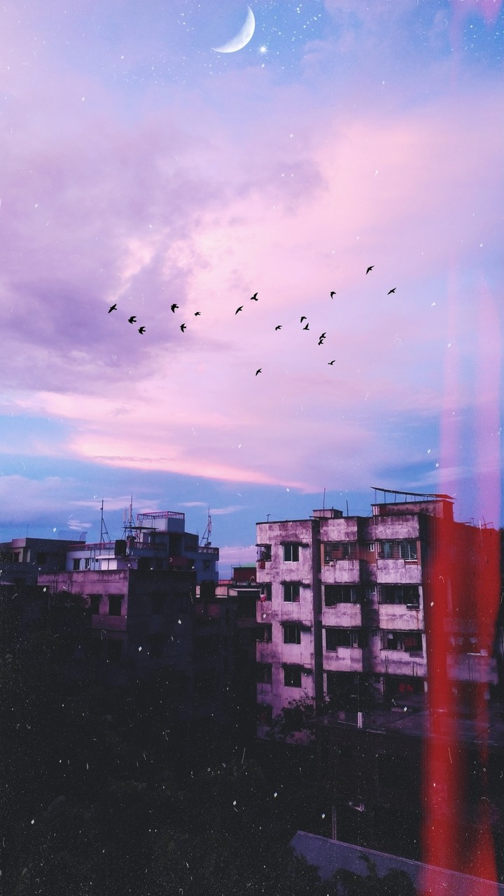 freedom