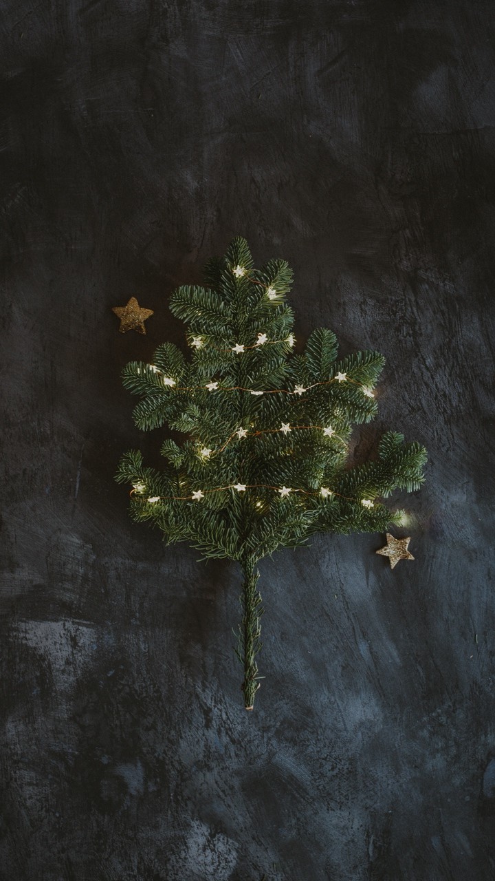 Xmas Tree