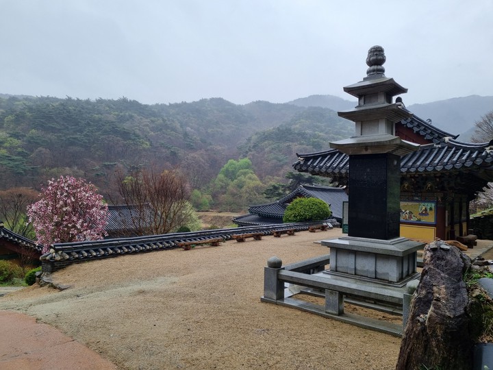 봄의풍경