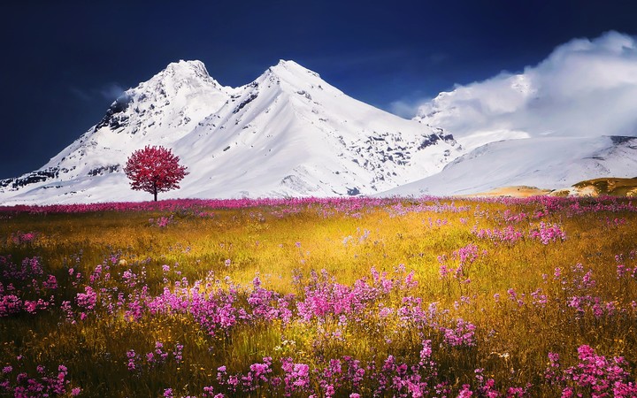 Hd Nature