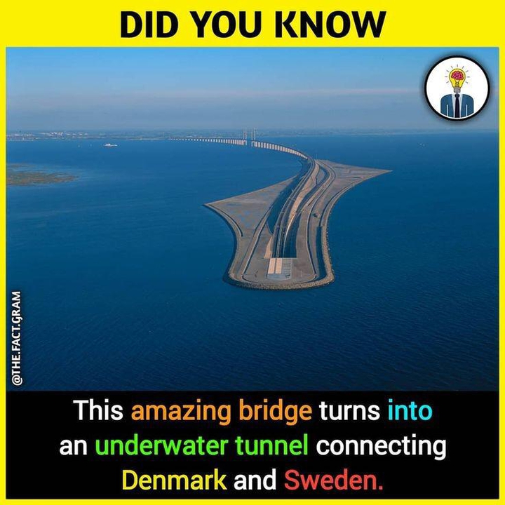 Fact