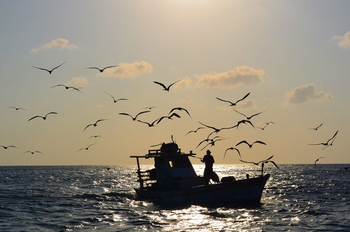 O Pescador