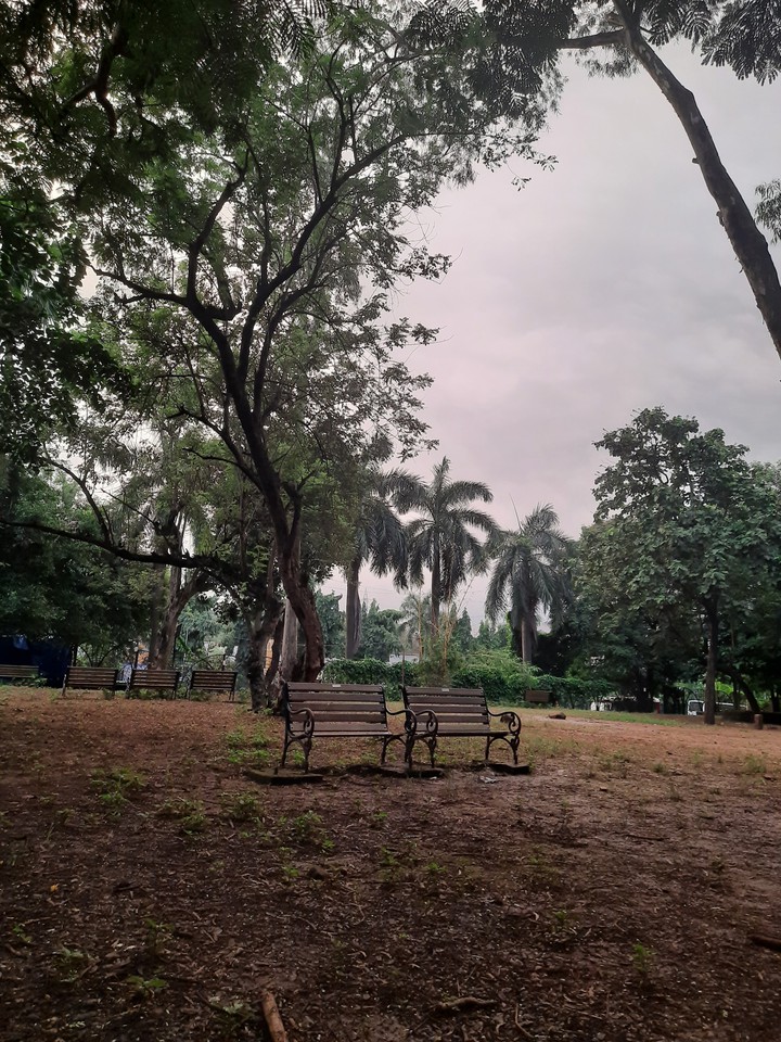 empty chairs