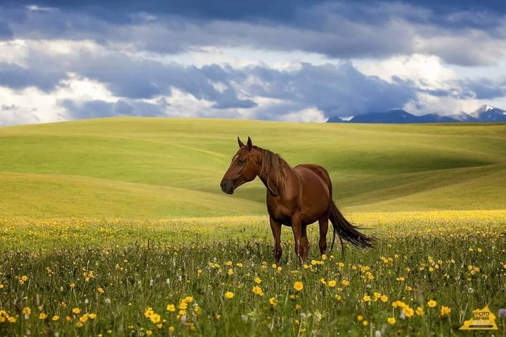 Kazakhstan.Плата Табан-Карагай