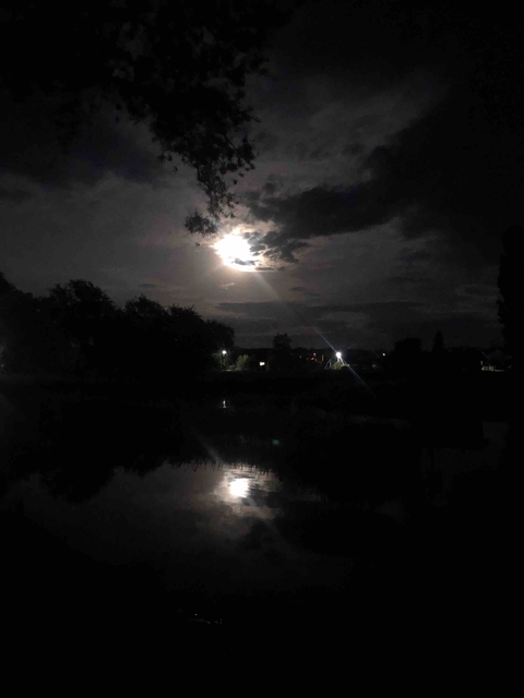 Summer evening