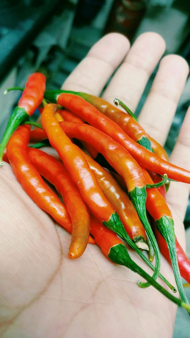 chillies