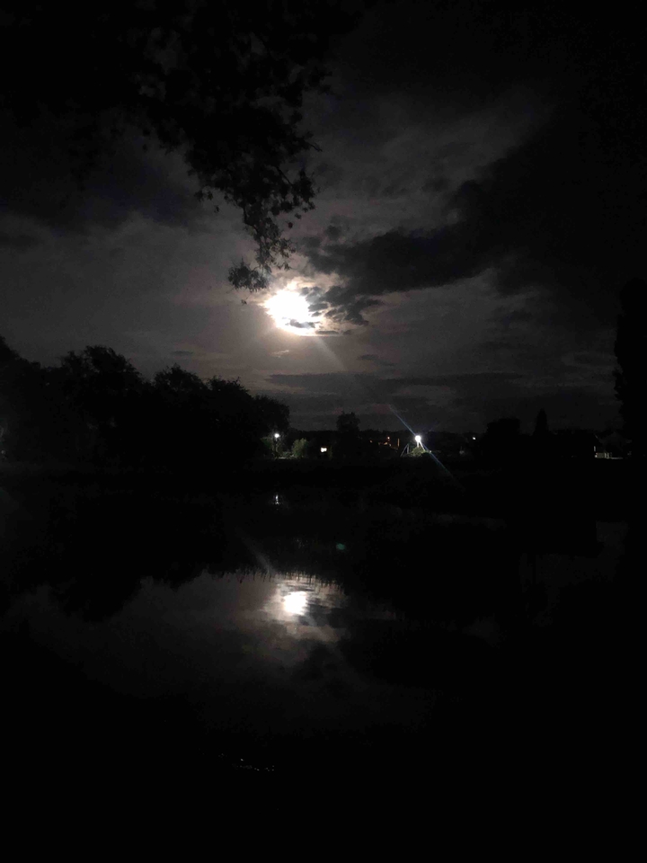 Summer evening